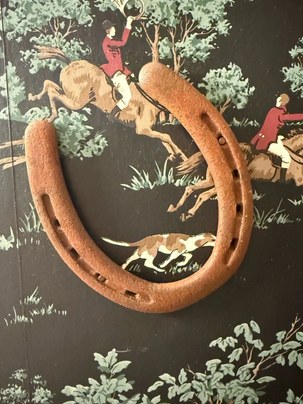“Set of 2 Rustic Horseshoe Wall Hooks – Farmhouse Western Decor”